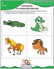 Hayvanlar ve Yavruları Eğitici Kartları